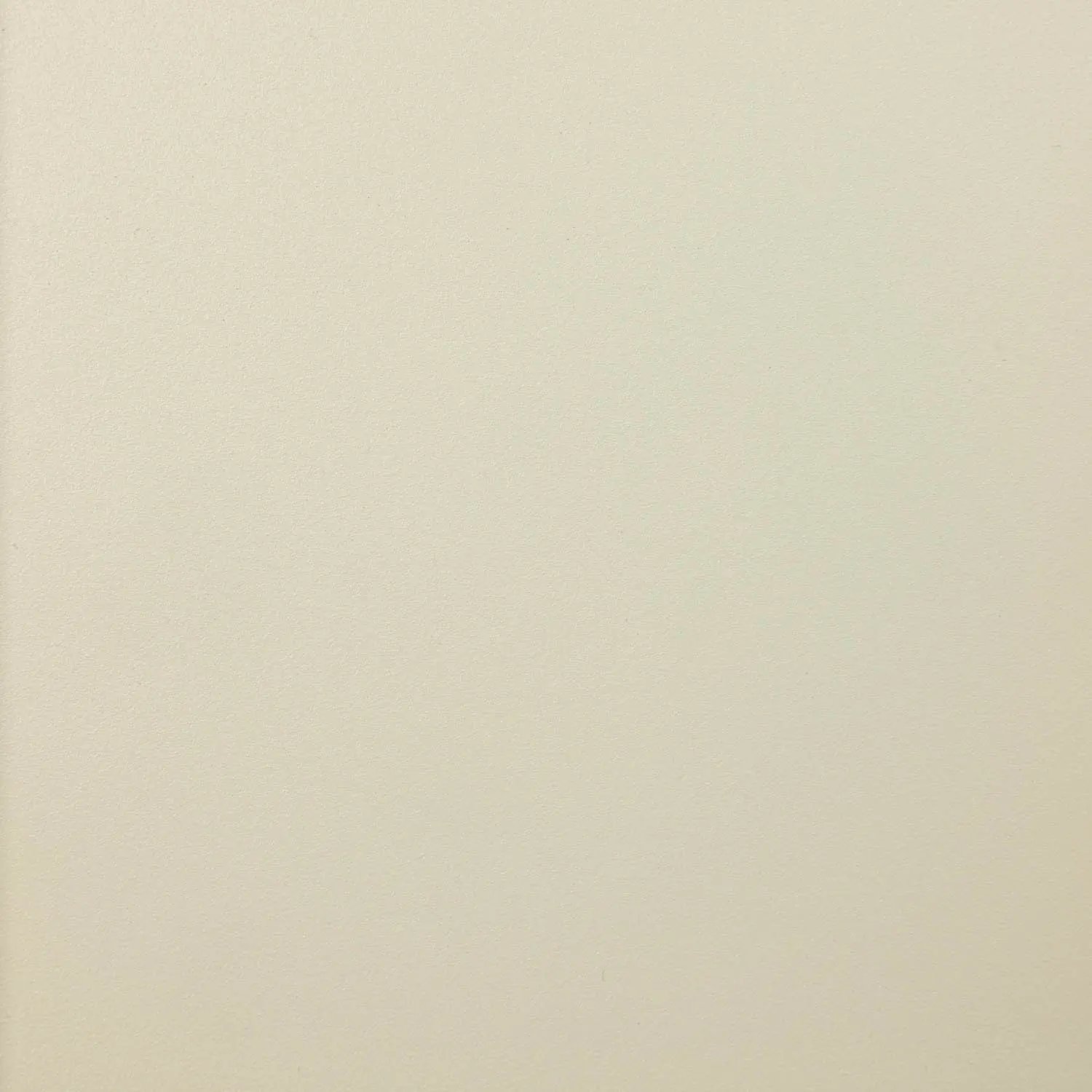 Licht Ivoorkleuring RAL 1015 coating voor stalen deuren van De Rooy Steel Doors